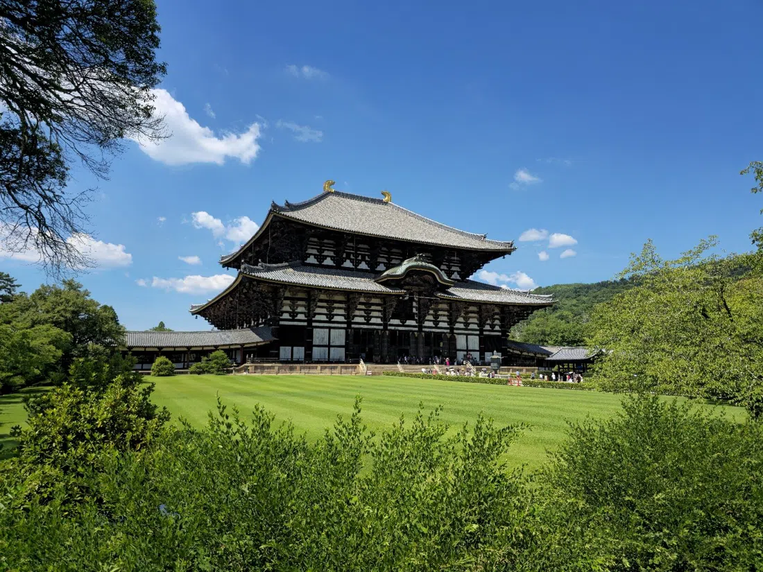 东大寺与奈良公园,大阪