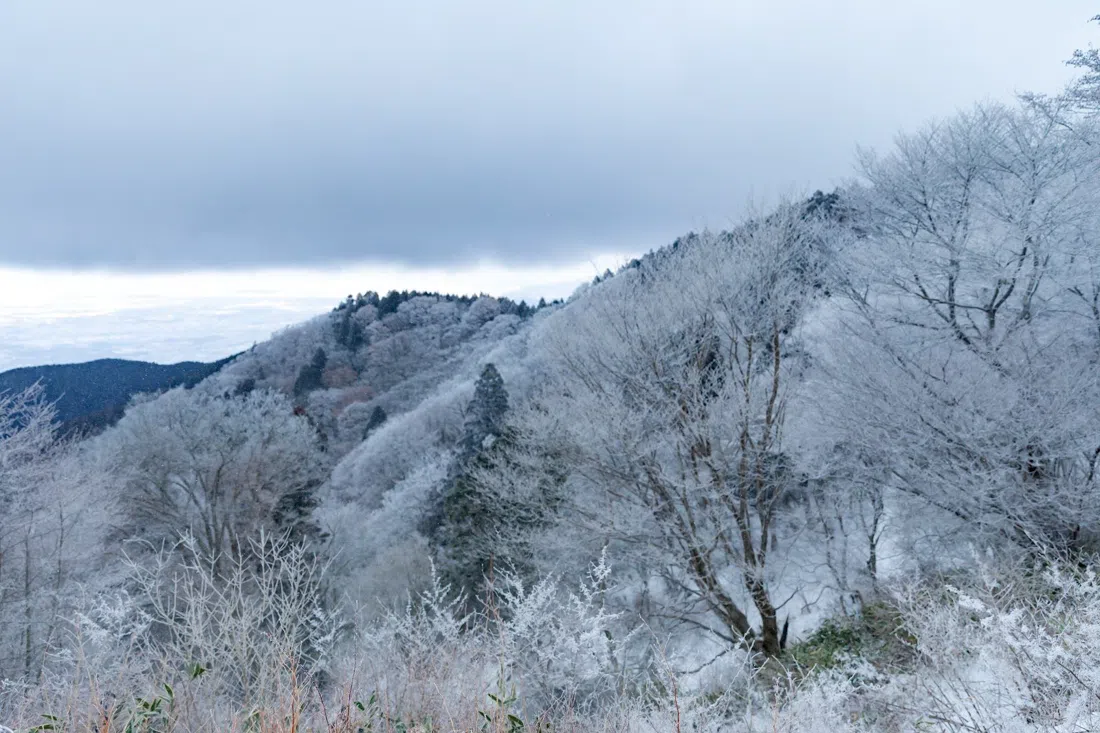 곤고 산 (치하야아카사카), 오사카