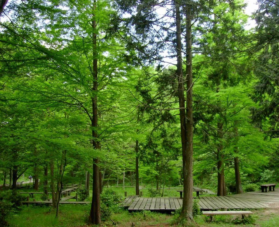 오사카현립 삼림 호시다 공원 — 호시노 부란코, 오사카