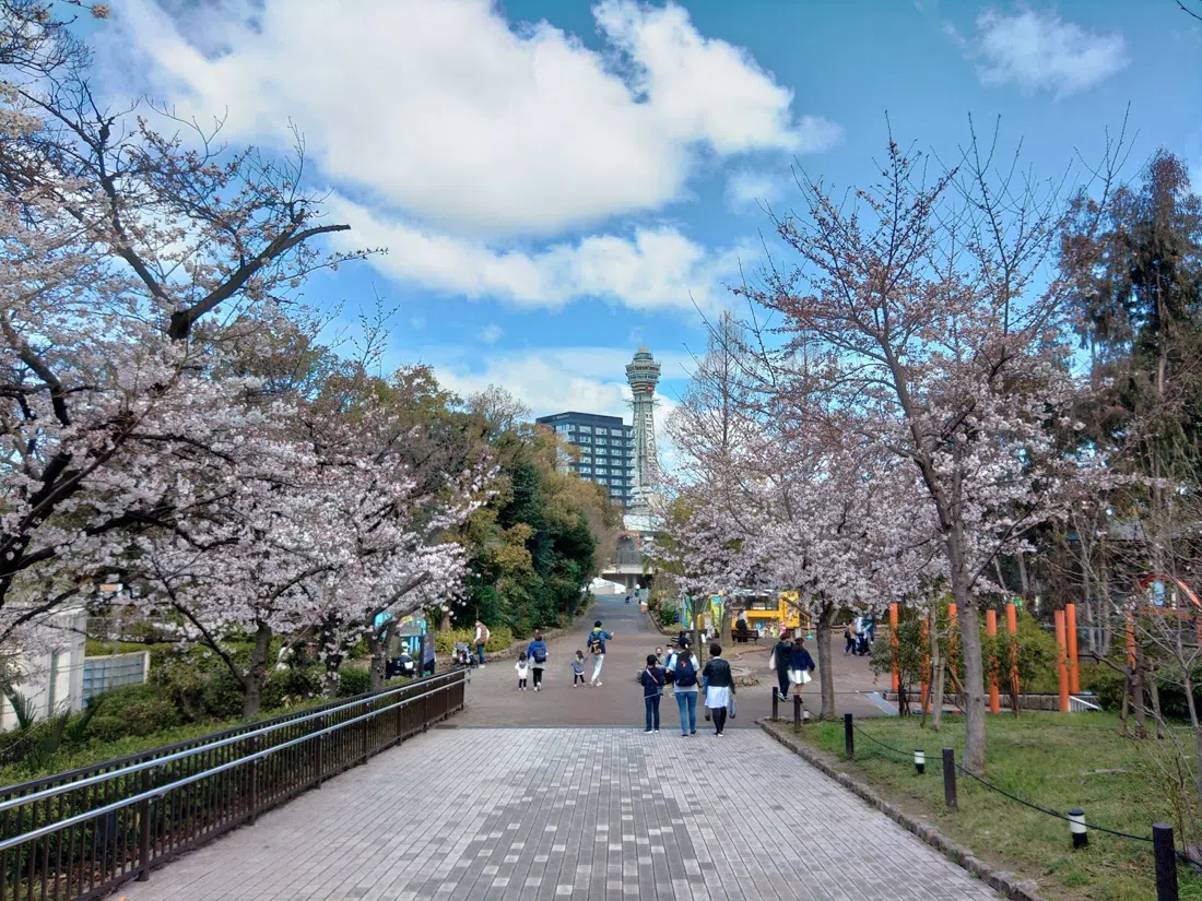Tennoji Zoo, Osaka