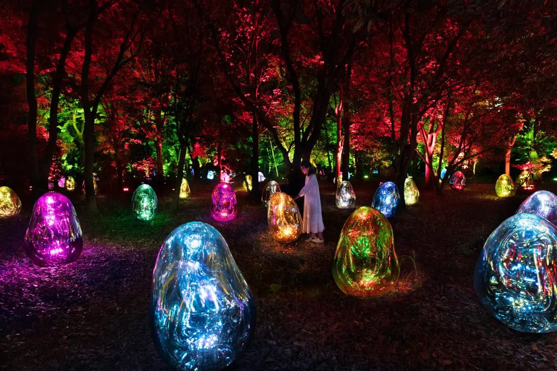 teamLab Botanical Garden Osaka, Osaka
