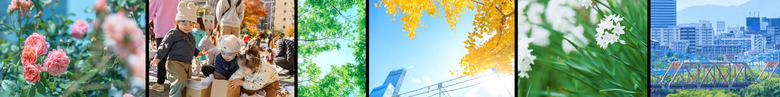 Nakanoshima Park and Rose Garden, Osaka