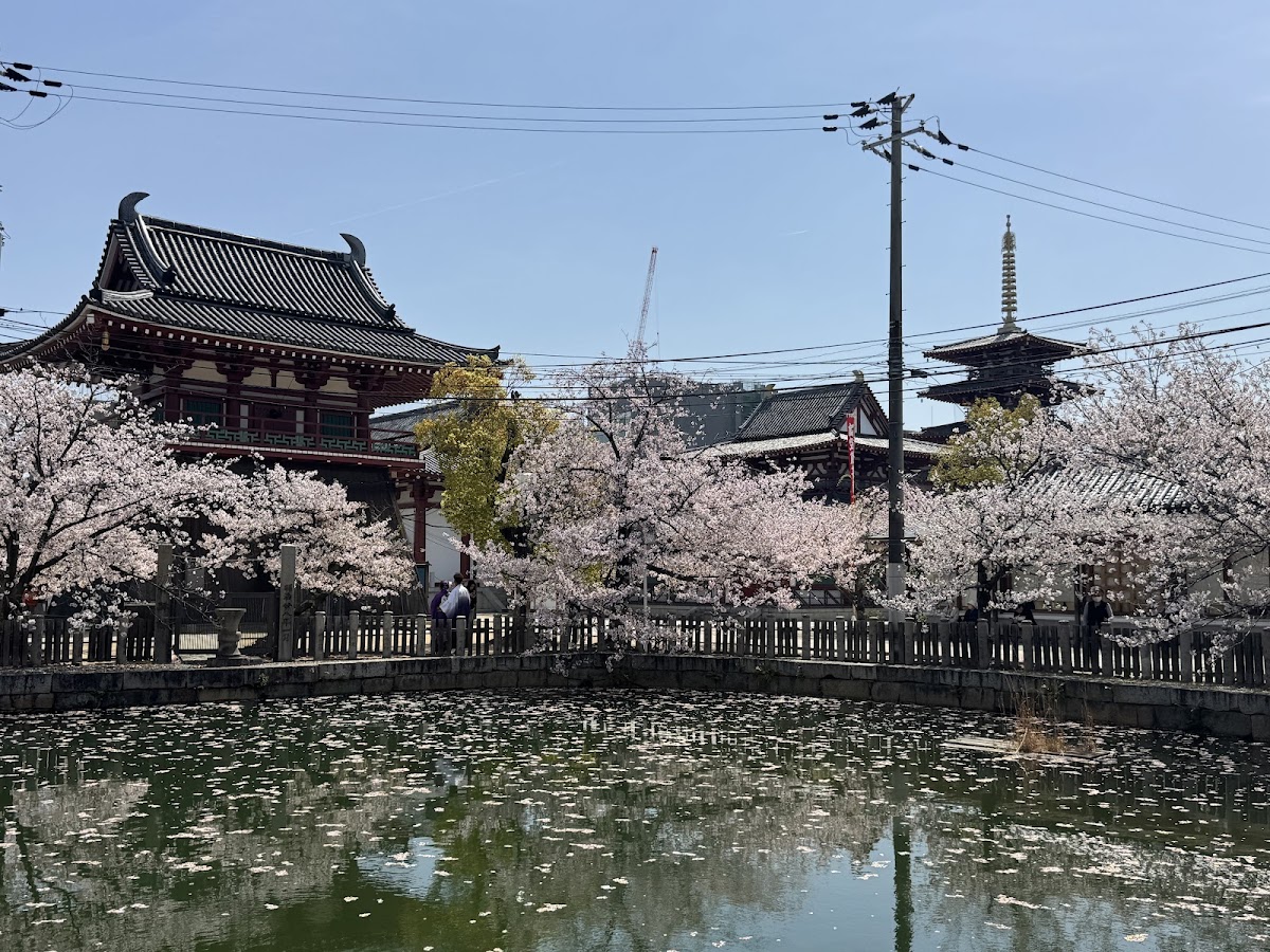 Shitennoji Temple — photo 4
