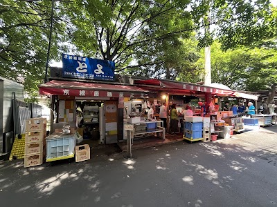 Izakaya Toyo