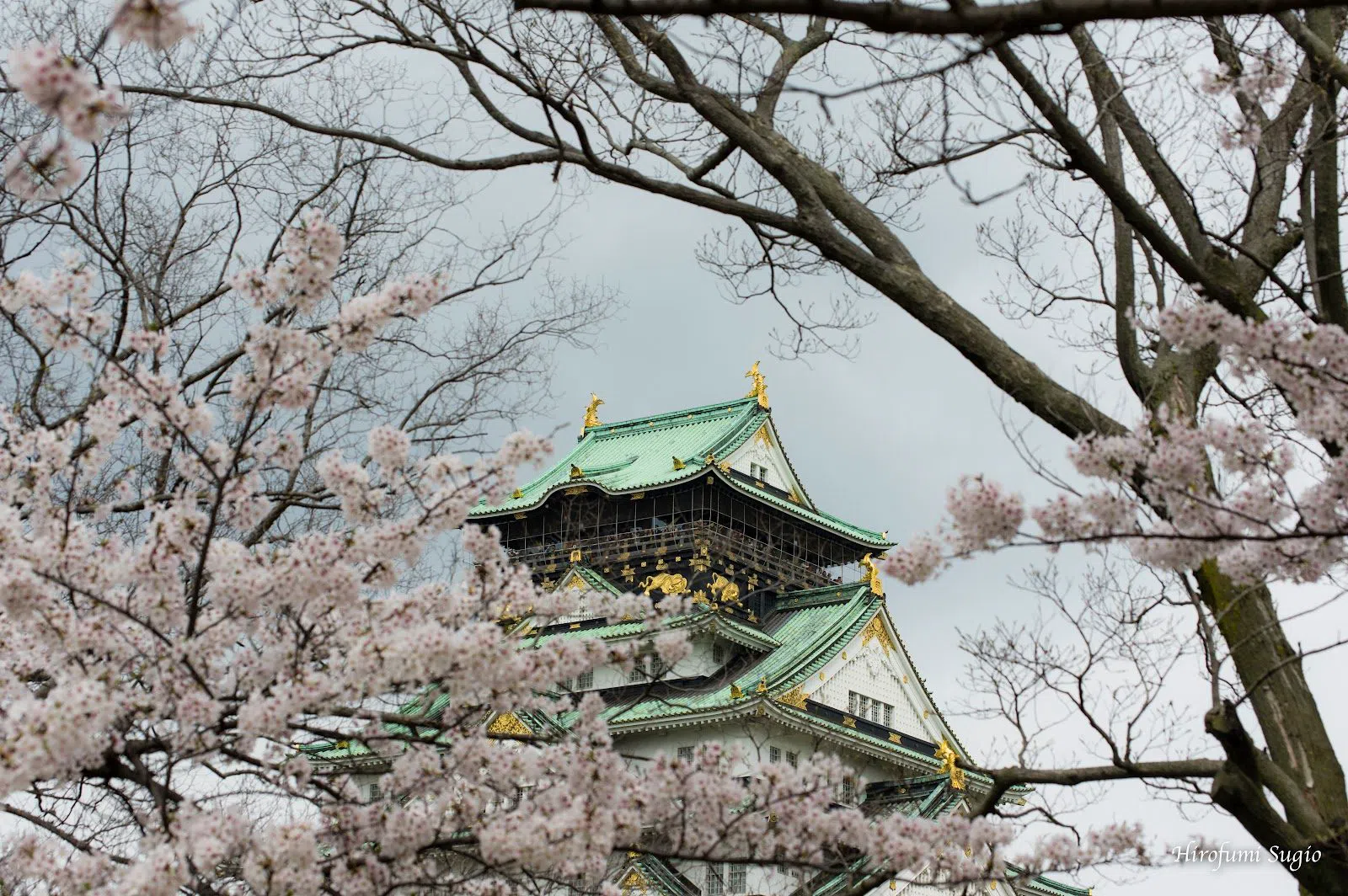 Nishinomaru Garden, Osaka